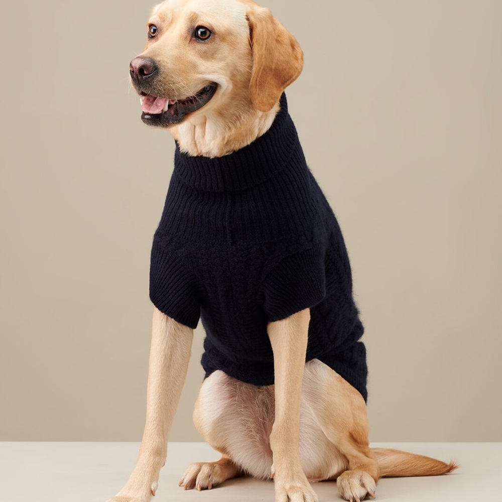Cashmere Dog Sweater in Navy Blue by The Barkers - XL